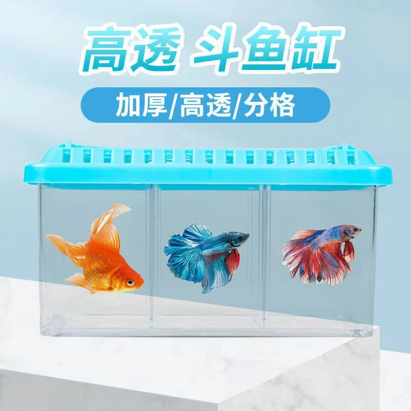 斗鱼缸可拆卸隔板高清透明多格斗鱼盒大容量造景迷你水族生态鱼缸