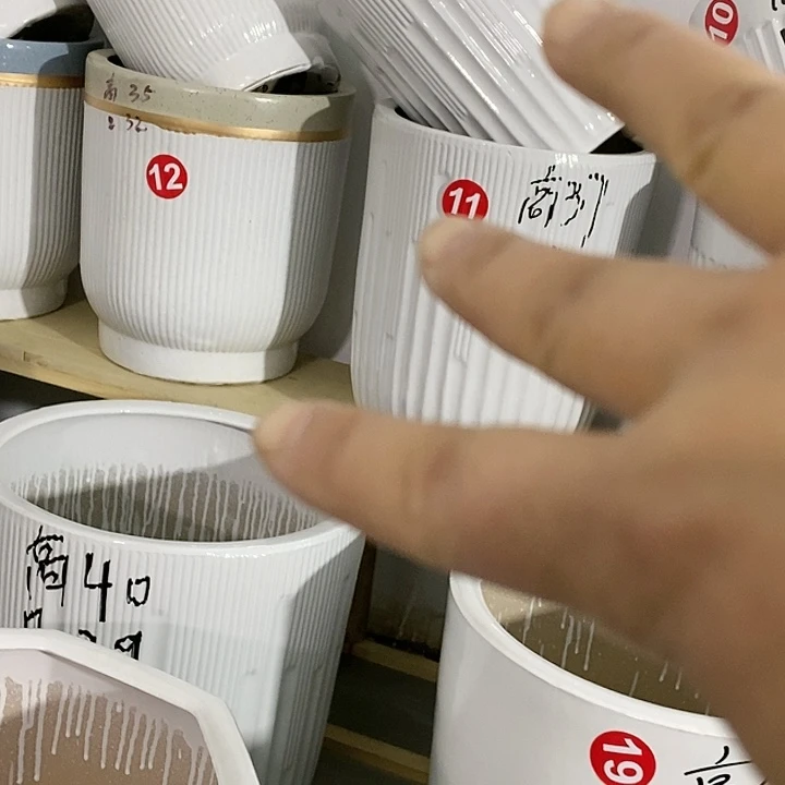 红陶20CM（含）-50CM（不含）