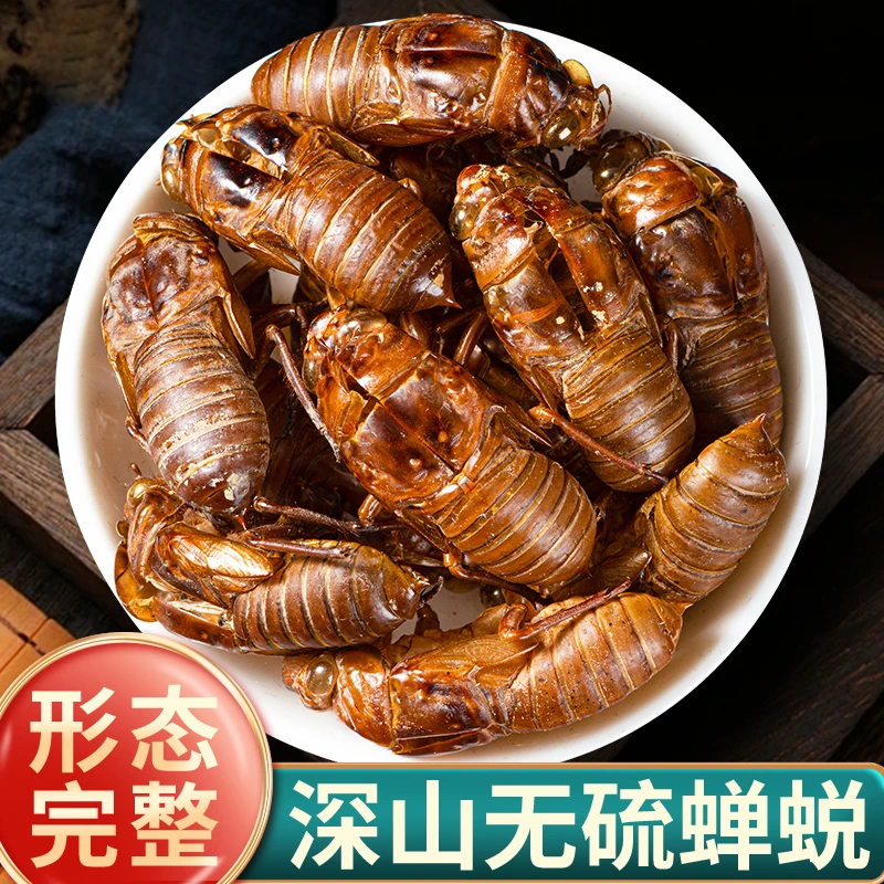 蝉蜕无硫蝉脱金蝉衣金蝉壳蝉皮野生蝉壳蝉衣知了皮知壳西洋参泡水