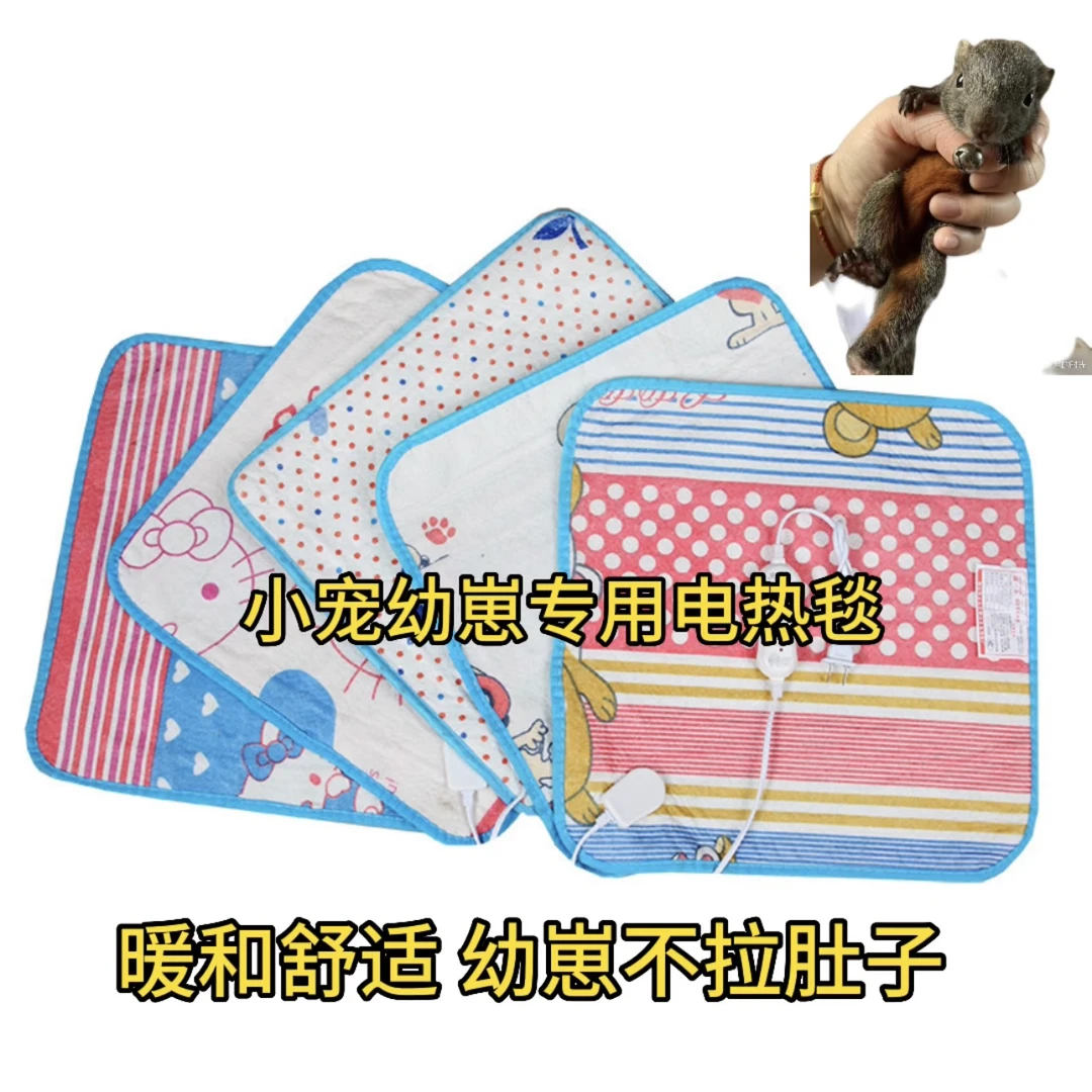 松鼠活体加热垫小宠物用保暖舒适包邮包损