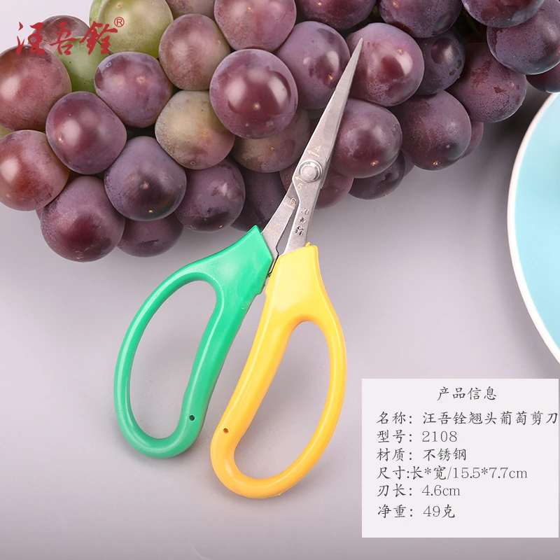 汪吾铨家用剪厨房用剪修枝剪刀多功能家用果树盆景剪枝