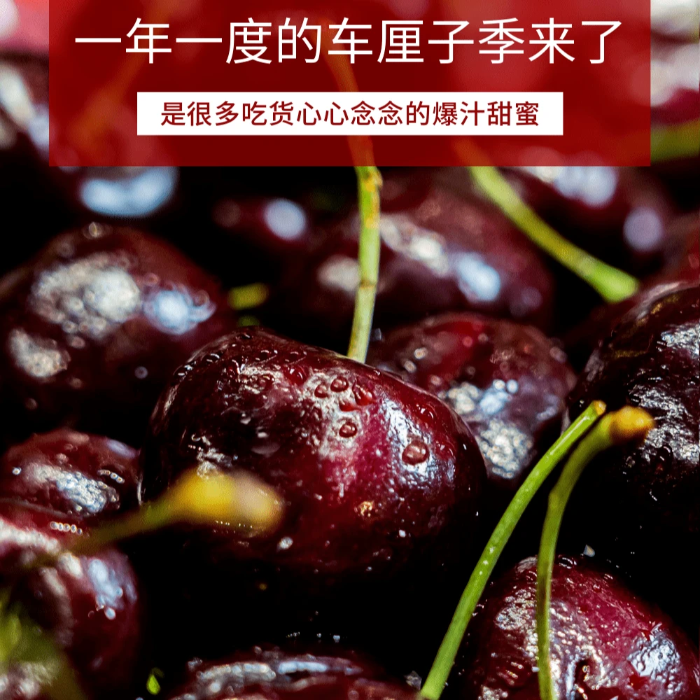 【天扬甄选】拉宾斯车厘子 JD 1斤 净重