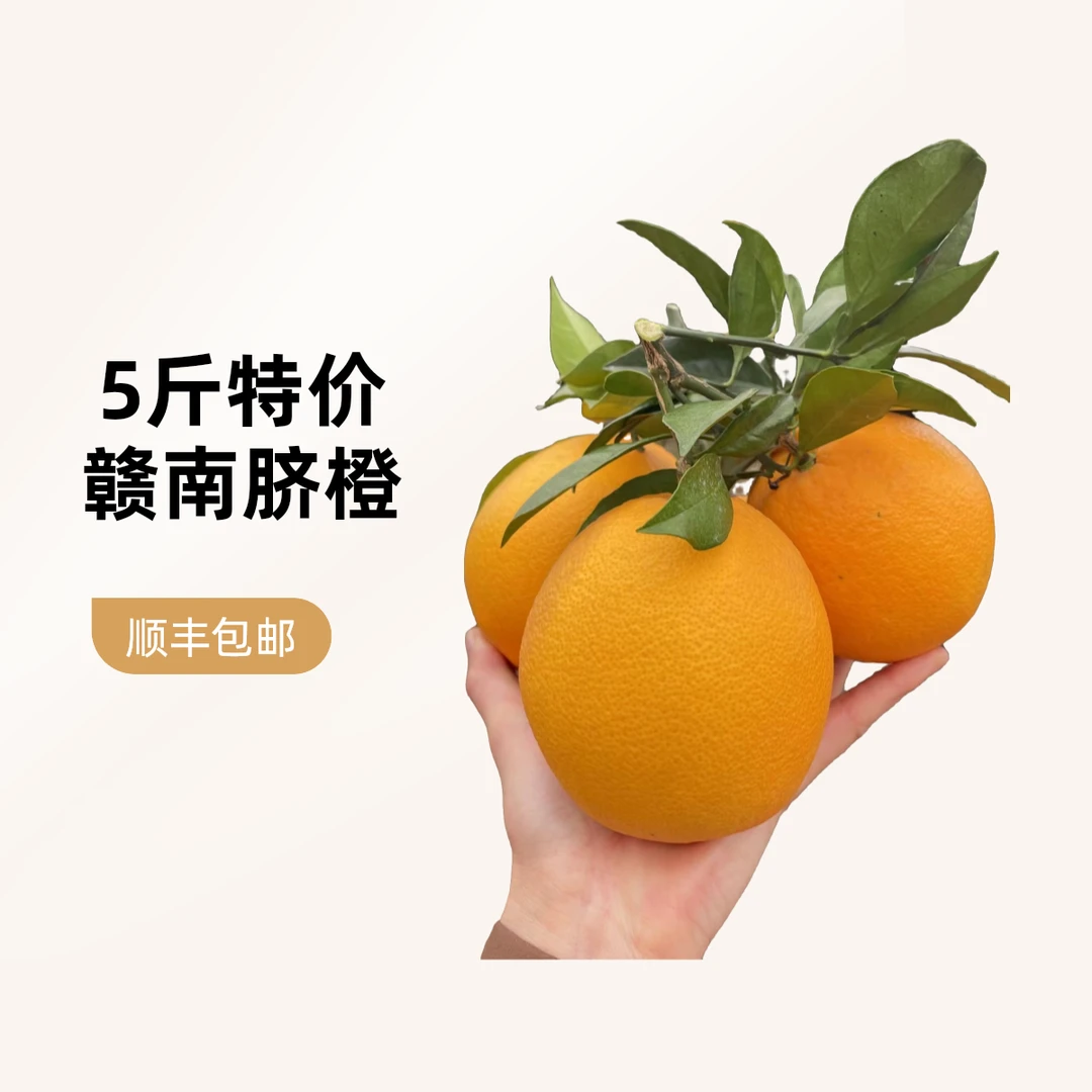 特价5斤装赣南脐橙顺丰包邮到家果园现摘先发产地直发