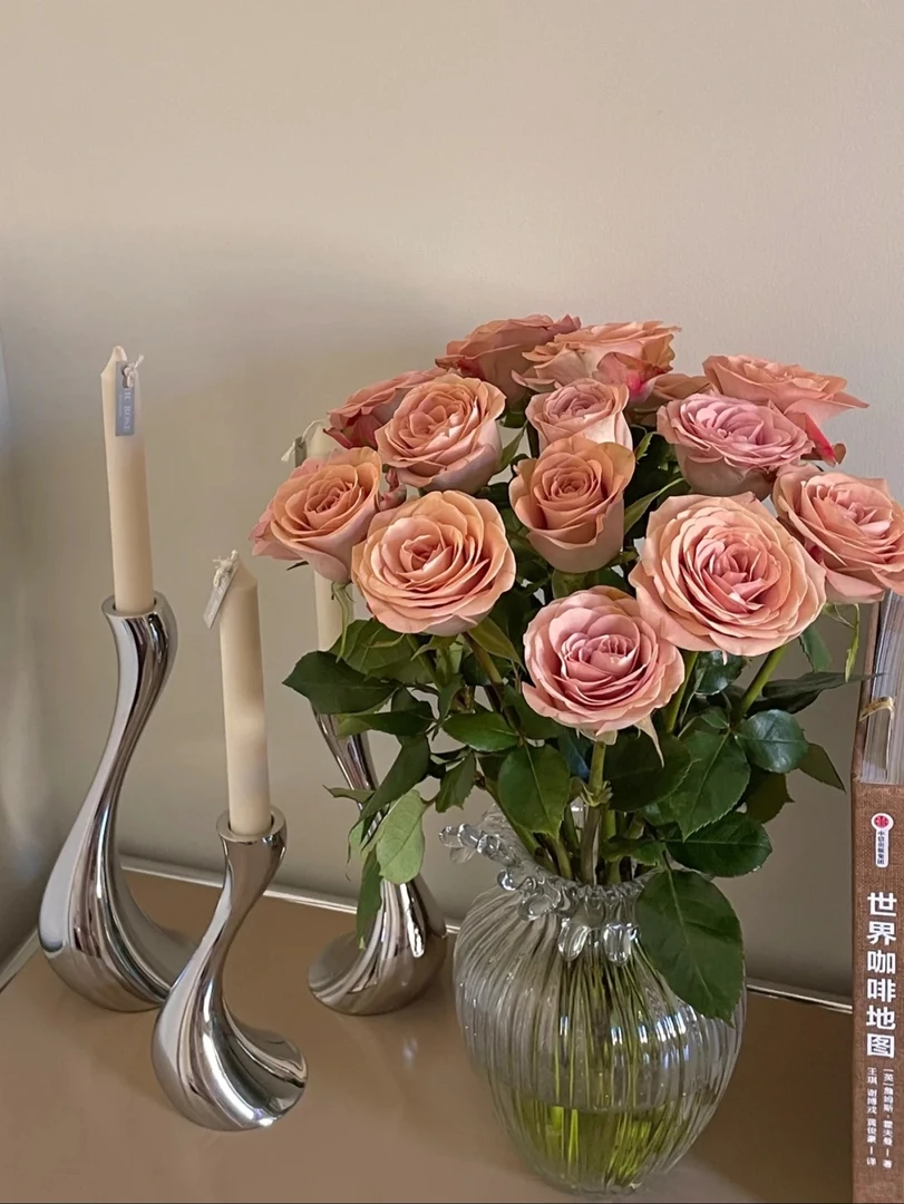 【卡布奇诺】复古色系玫瑰   5℃以下地区必拍保温棉 不拍冻坏不售后