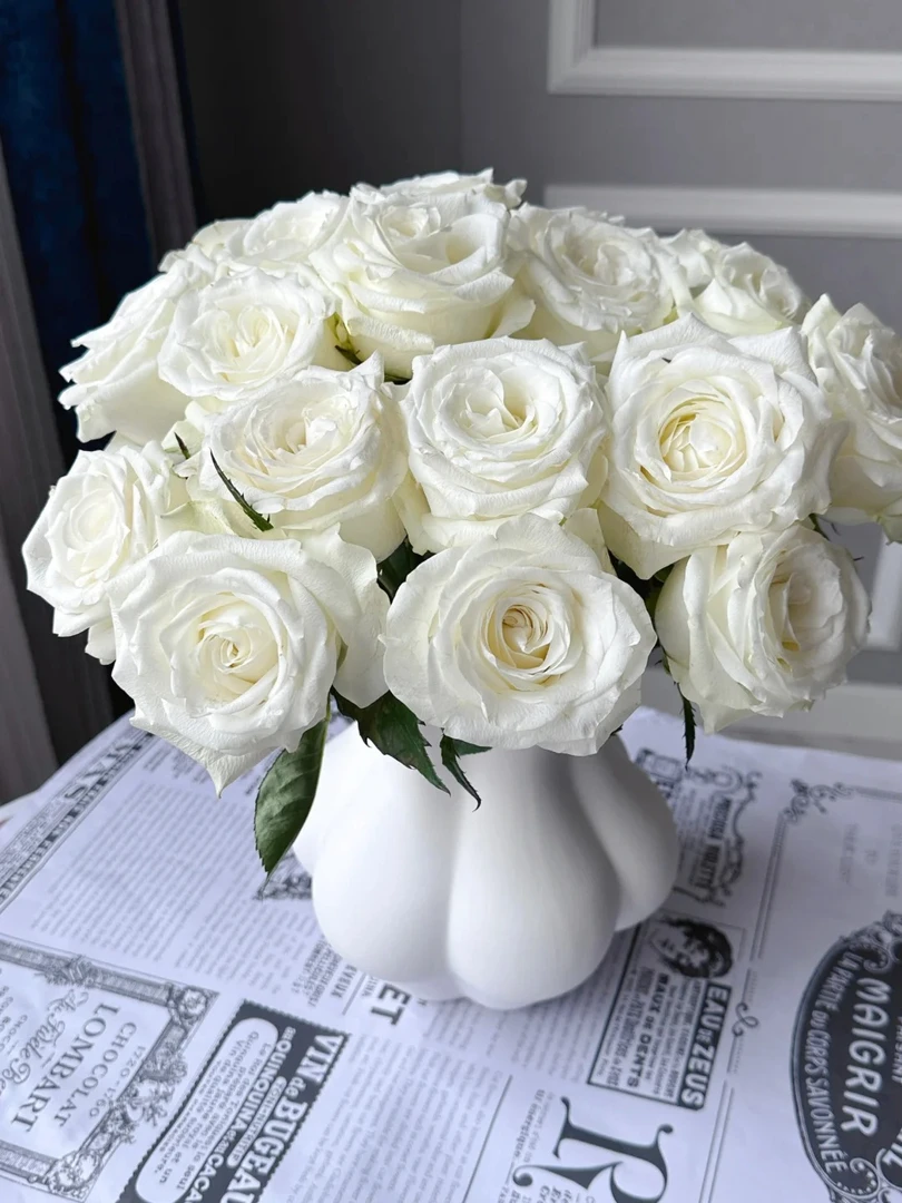 【骄傲】纯色系清爽玫瑰 云南基地直发一单就包邮 鲜切玫瑰