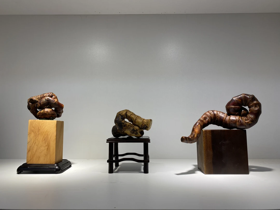 定向链接文玩老竹根