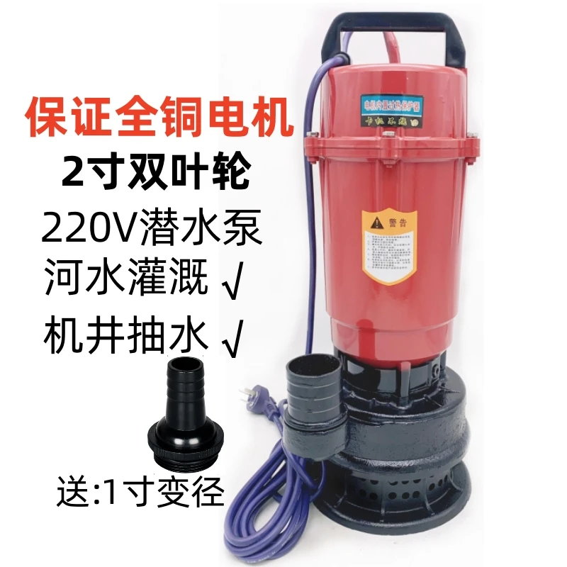 2寸两寸1寸双叶轮多级潜水泵高扬程河水机井灌溉滴灌喷灌220V家用