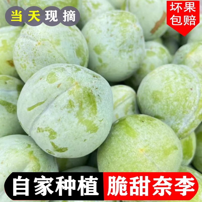 【树上熟 湖南奈李】产地直发当季青油奈李子脆新鲜水果翡翠李包邮