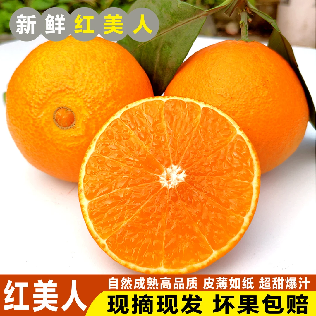 果冻橙红美人柑橘爱媛高端水果现摘现发新鲜采摘5斤
