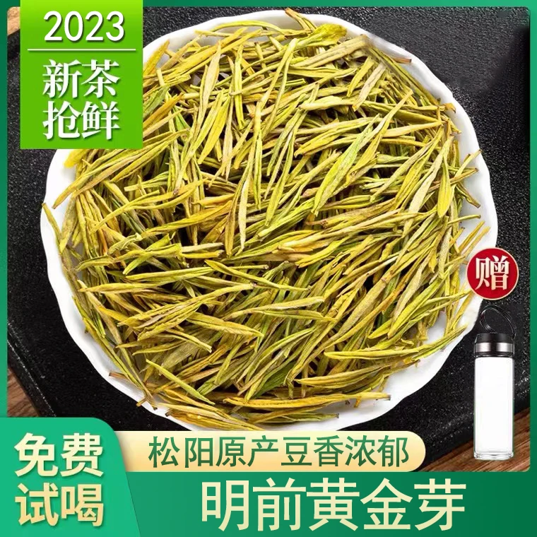 【严选好茶】2023新茶2A款黄金芽明前春茶 豆香型浓香型 绿茶罐装