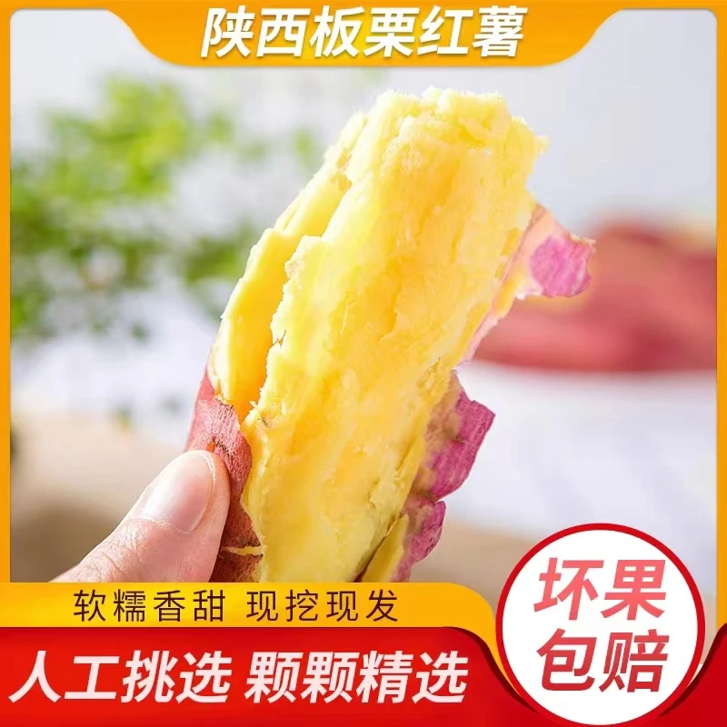 【产地直发】陕西板栗红薯粉糯干甜健康粗粮现挖现发3斤5斤9斤