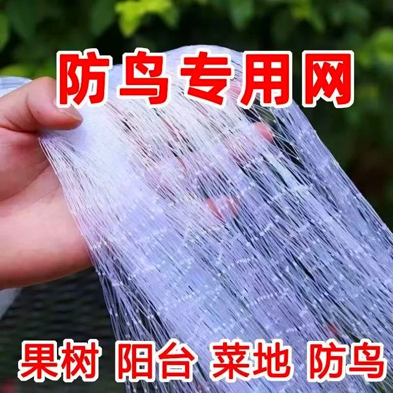 防小鸟网防虫冰雹蔬菜大棚樱桃葡萄梨树果树园尼龙养殖鱼塘天网罩