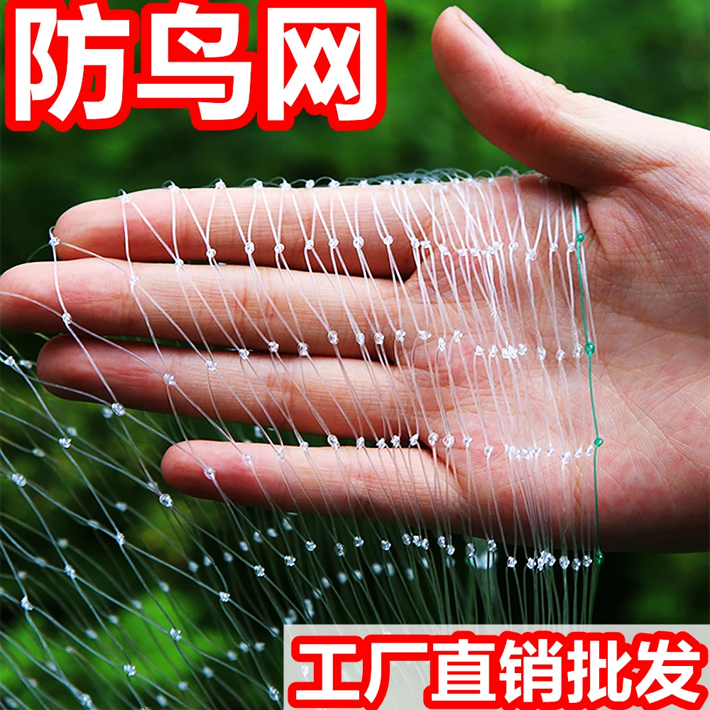 新款防鸟网天罩樱桃葡萄农用养殖果树园防护尼龙围网厂家直销批发
