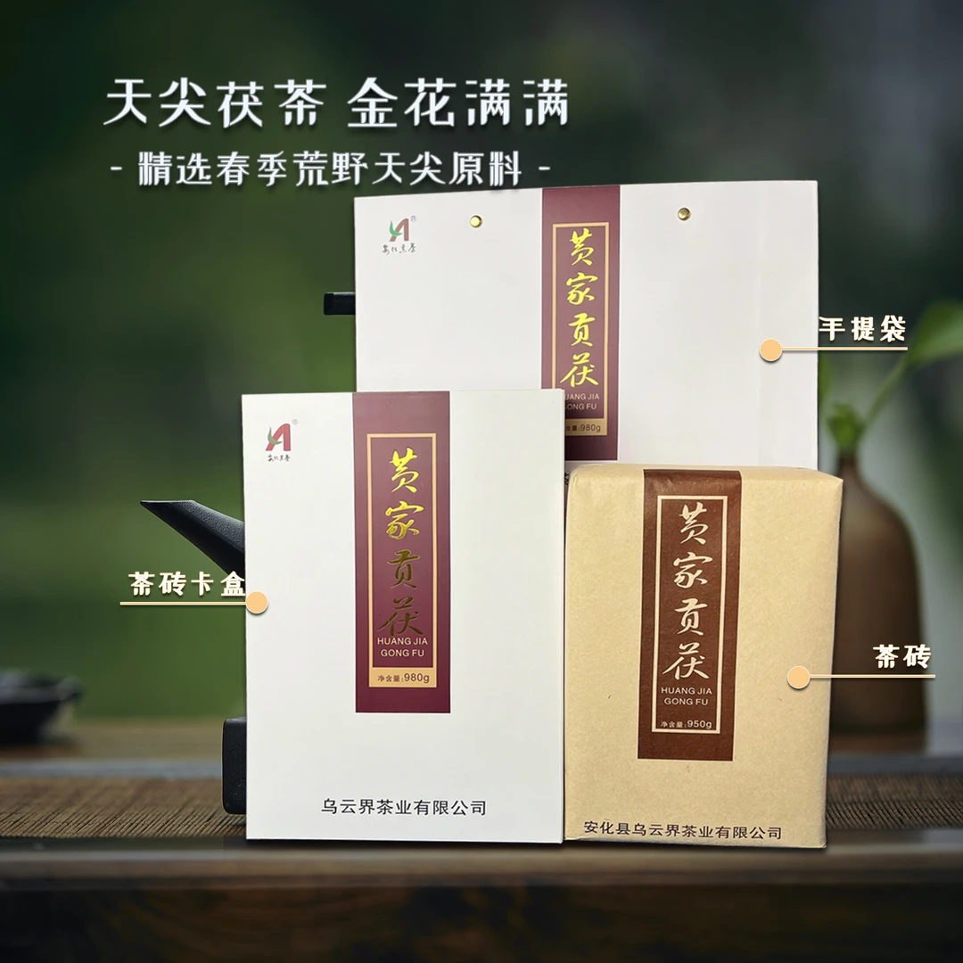 大渥茯2011年春季荒野天尖原料2017年制作980克(陈年天尖茯砖）