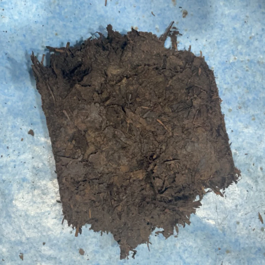 大渥茯安化黑茶1998 年老花砖2024年砍开包装