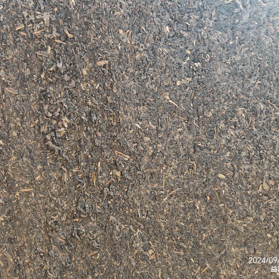 大渥茯安化黑茶春季原料 2017 年收藏家茯砖散卖 2024 年包装