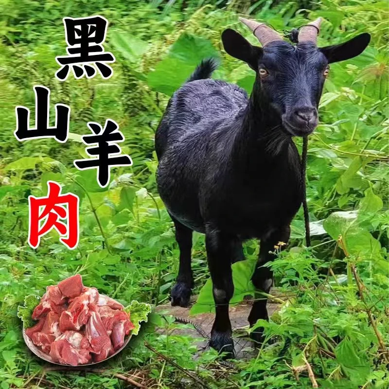【黑山羊】农家黑土山羊肉现场称重一单一称