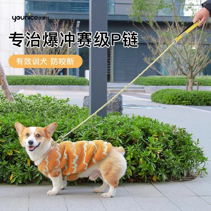 狗狗牵引绳p链p绳遛狗训犬不锈钢狗链小中大型犬柴犬柯基比熊狗绳