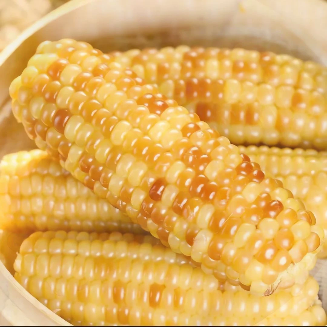 云南西双版纳花糯玉米代餐免煮香糯开袋即食真空包装低卡低脂营养