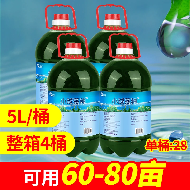 小球藻种瑶浓缩藻种复合藻种肥水培藻增氧水产养殖蛋白核小球藻种