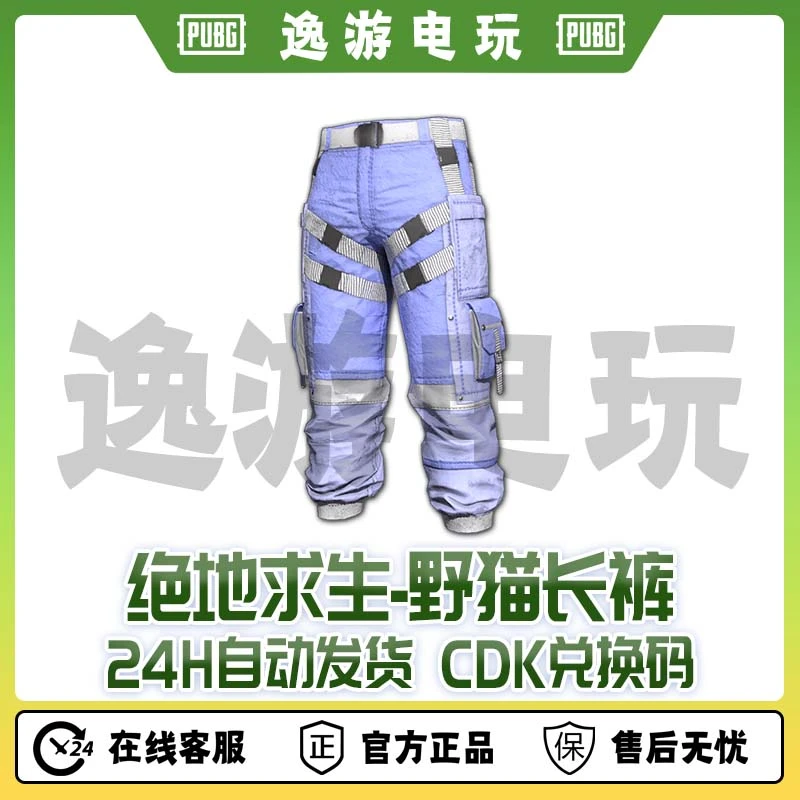 steam绝地求生PUBG皮肤野猫长裤CDK兑换码