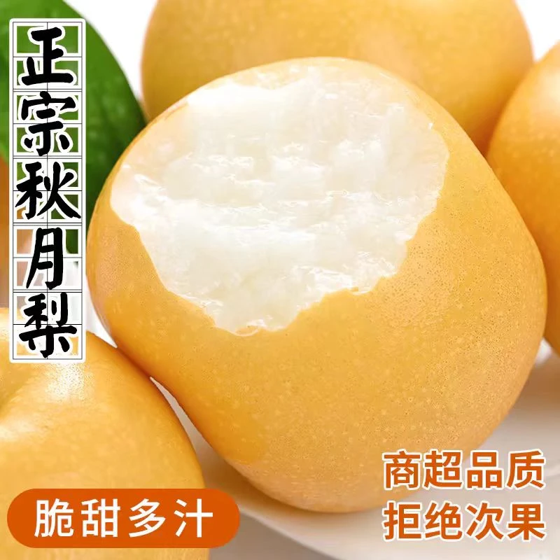 正宗山东莱阳秋月梨冰糖羊脂梨子新鲜当季水果脆甜多汁产地直发