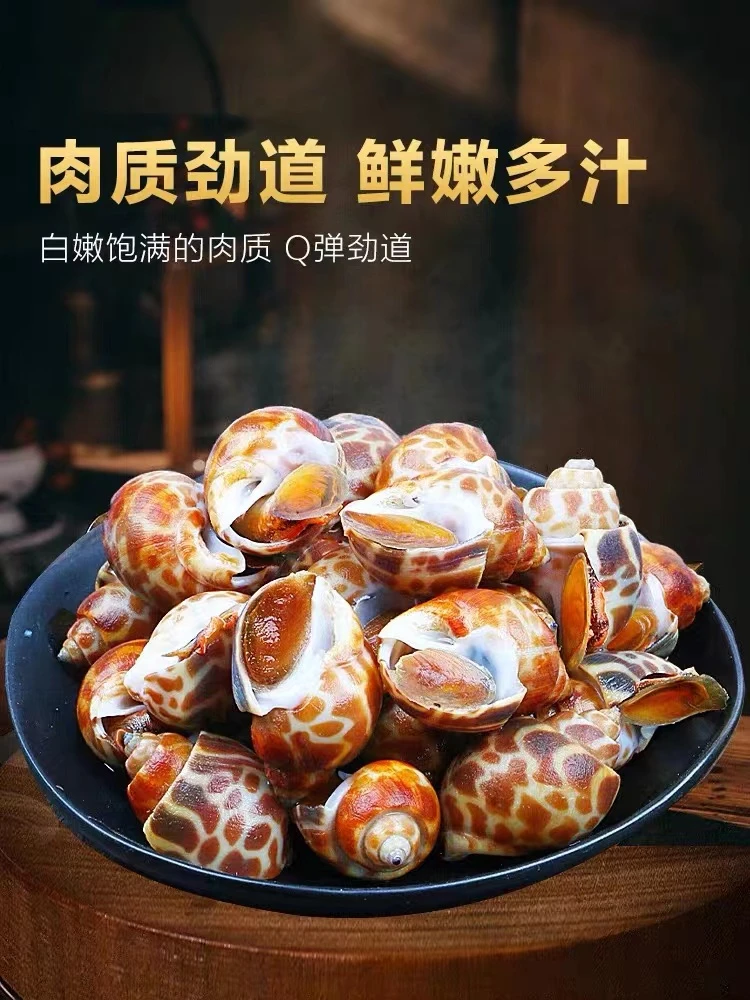 连云港发货 花螺 新鲜速冻 2斤/3斤/4斤/5斤