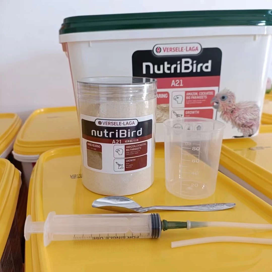 品牌进口凡赛尔高营养鹦鹉幼鸟BB宝宝奶粉乳粉饲料A21 零天手养