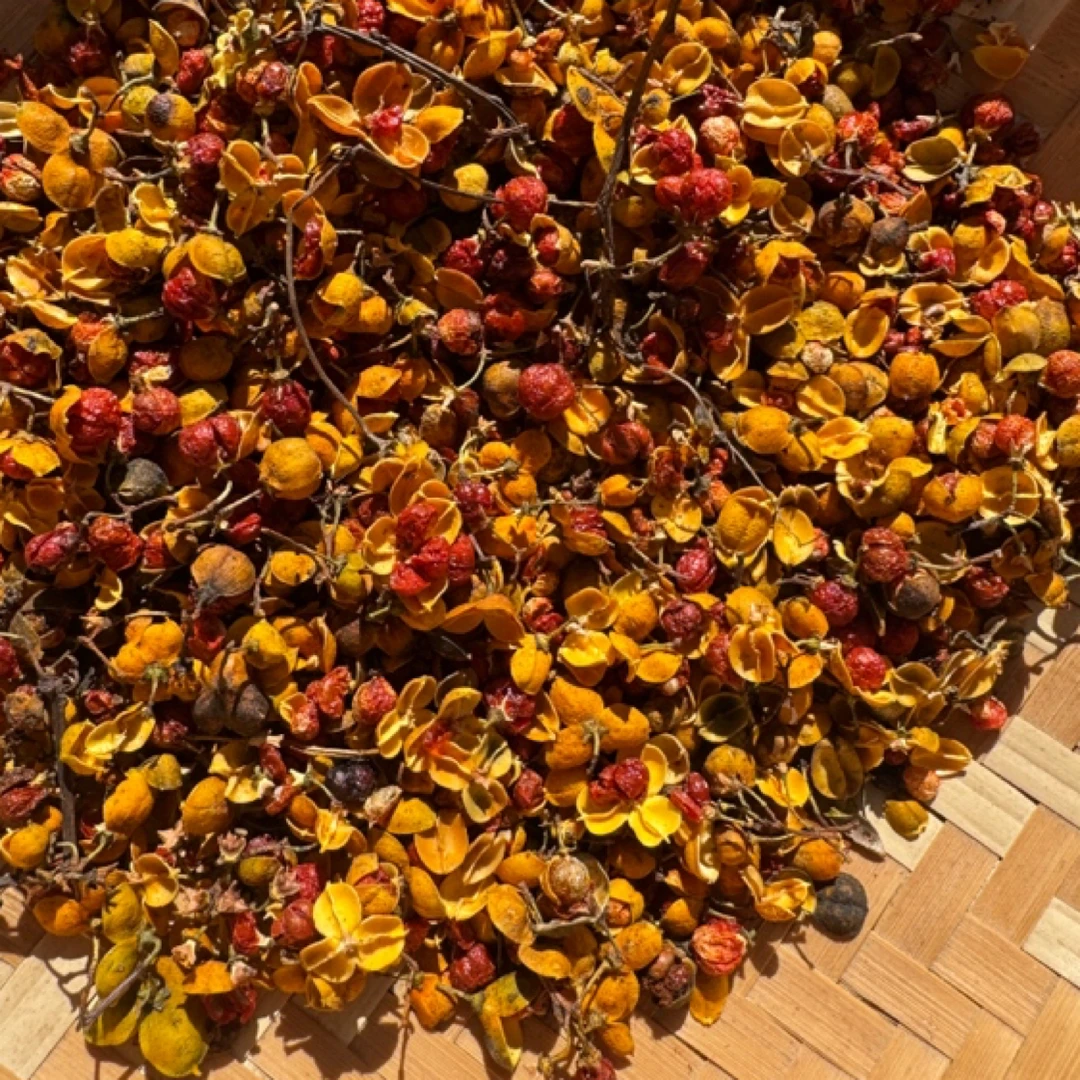 下寨现收山货【穿山龙】