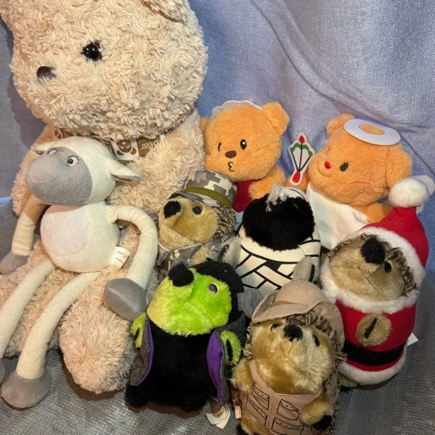 【YY家】宠物玩具专用购买链接（全店满30包邮）