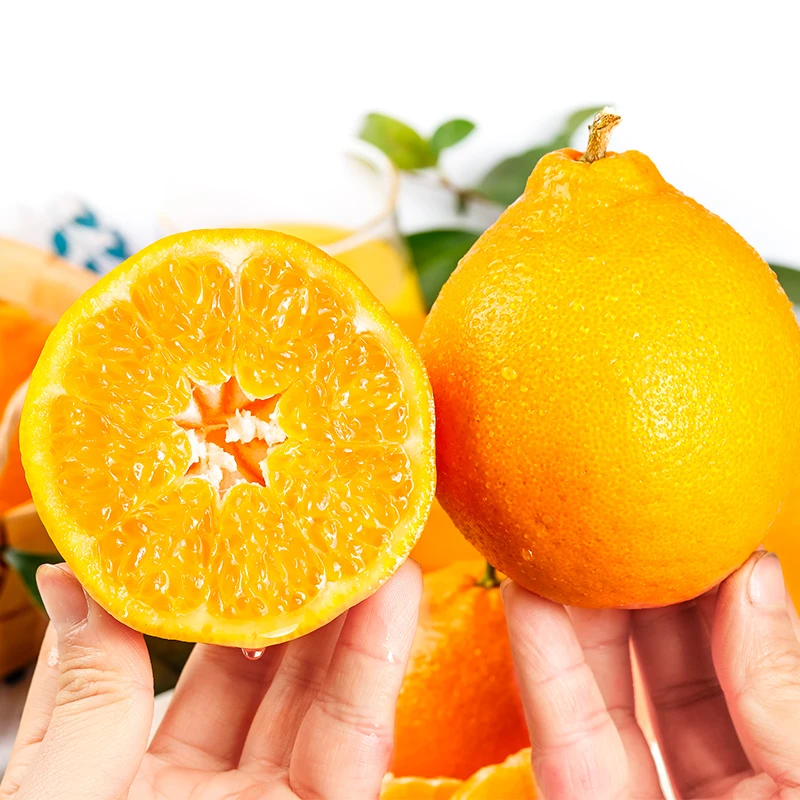 【现摘现发】四川春见耙耙柑5斤新鲜水果整箱包邮