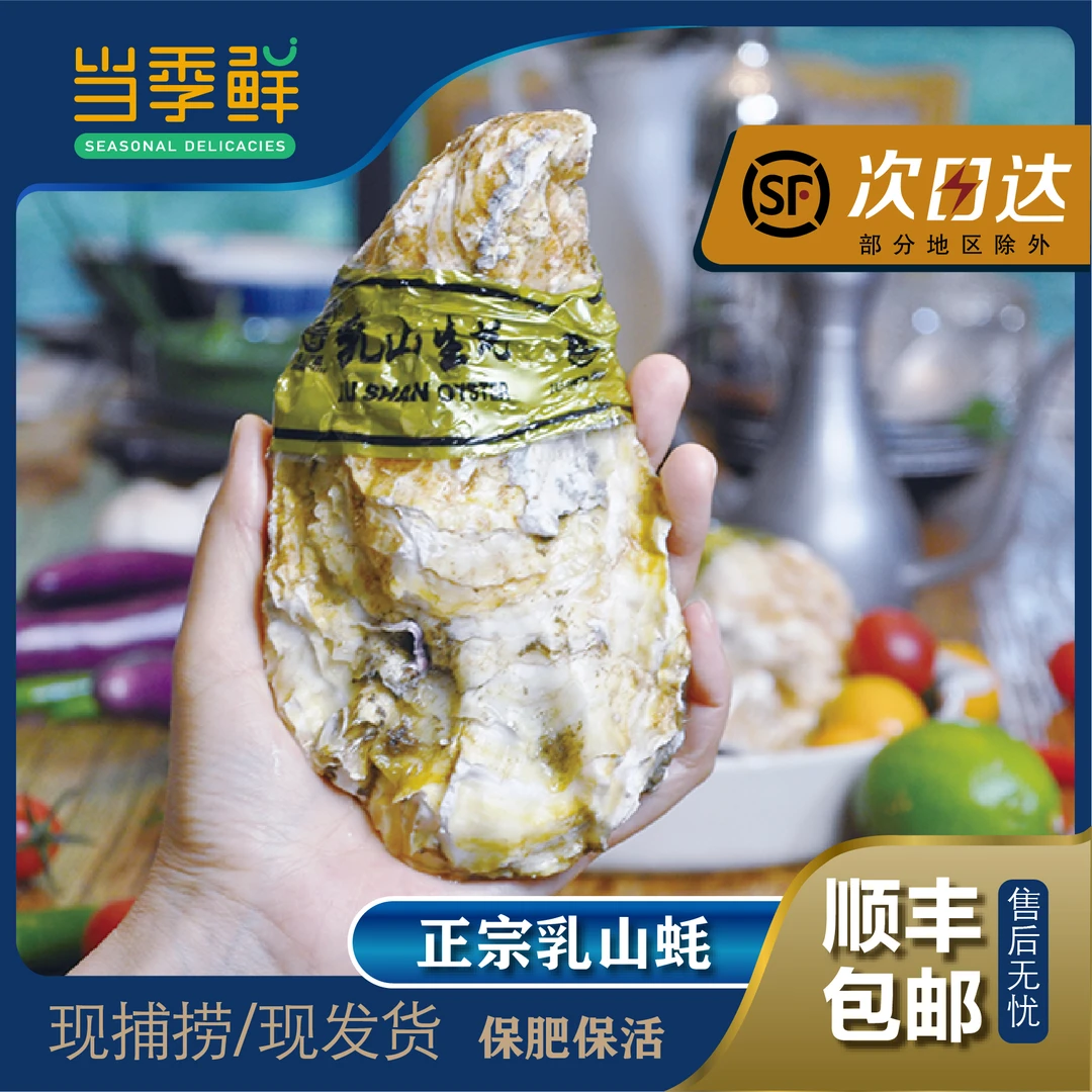 10斤装乳山生蚝牡蛎原产地现捞现发鲜活海鲜到家顺丰冷链发货