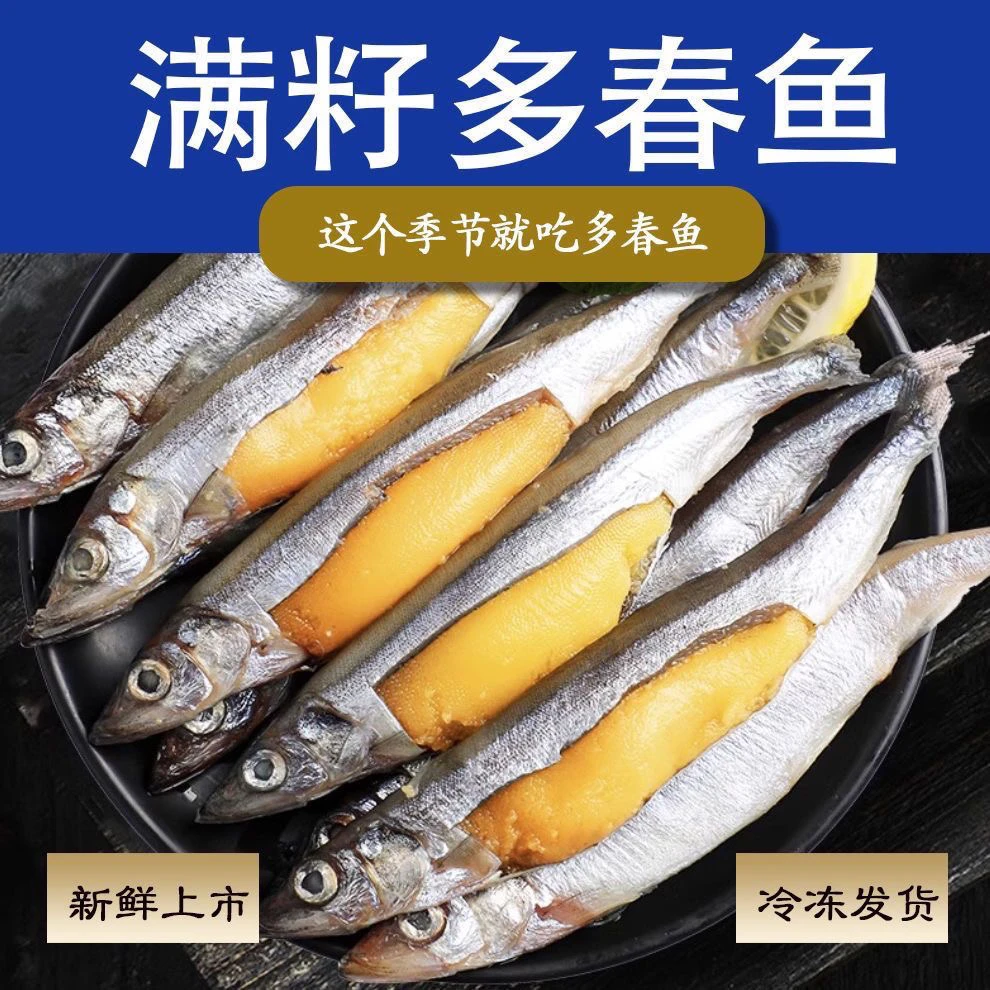 A1连云港发货 满籽多春鱼 8条/盒（130克左右）