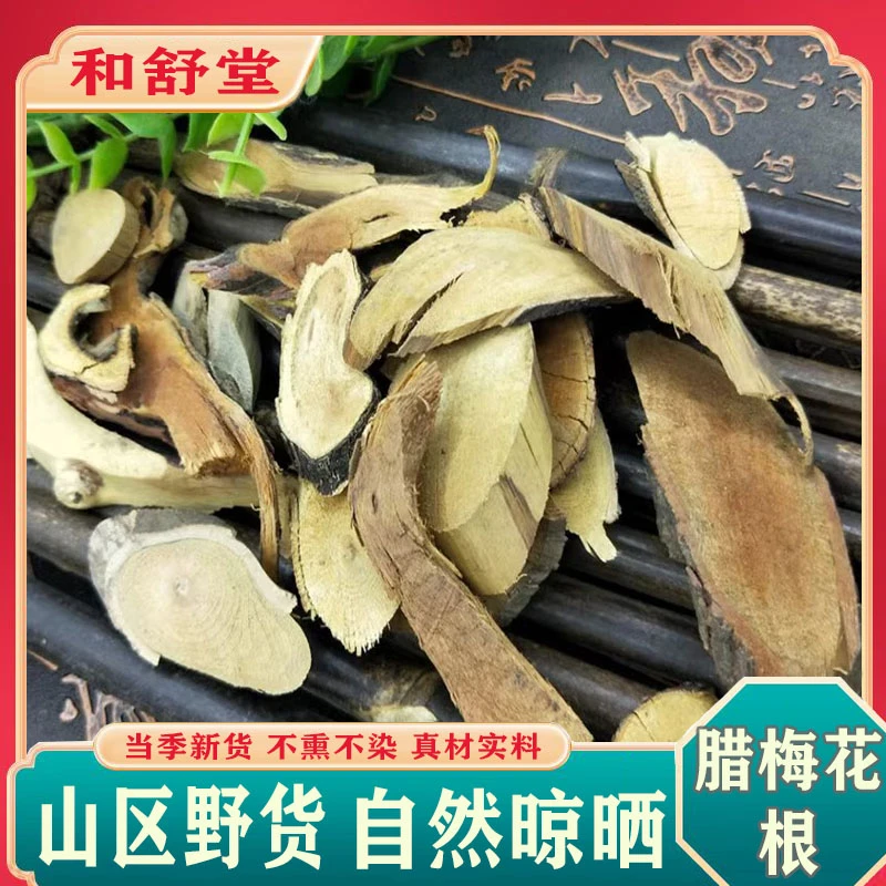 中药材精选正品腊梅花根优质腊梅树根金梅蜡花腊梅花蜡木唐梅香梅
