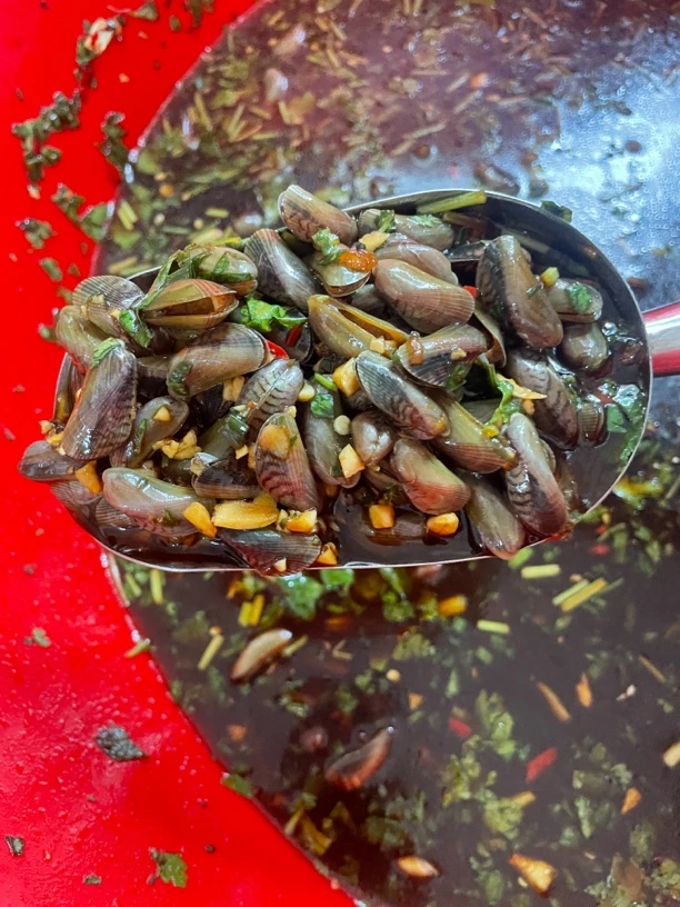 【陆丰甲子特产】薄壳 生腌薄壳 甲子本地红肉薄壳 配粥配饭