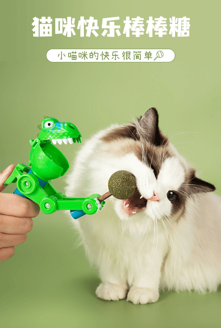 抖音网红宠物逗猫棒机器人棒棒糖猫咪玩具创意狗狗用品猫薄荷棒