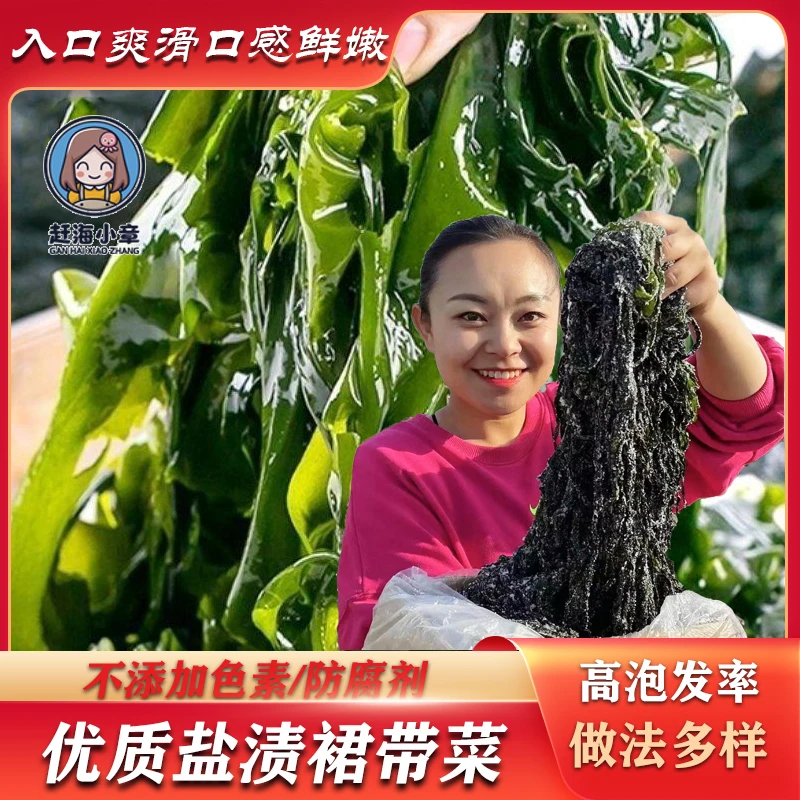 赶海小章（小章推荐）山东日照发货盐渍裙带菜 鲜嫩
