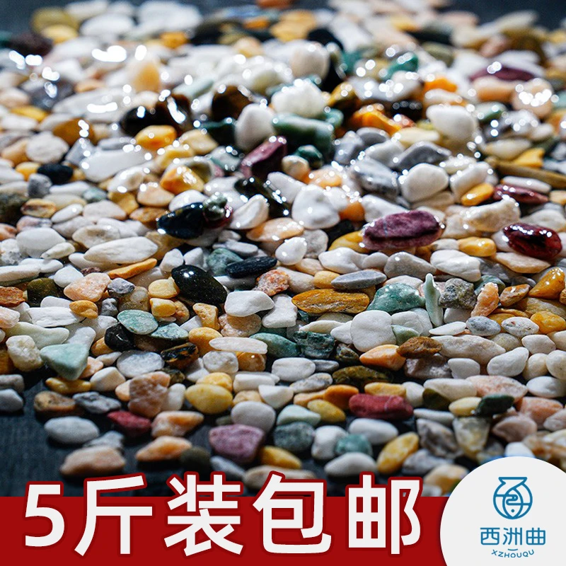 西洲曲天然五彩石雨花石多肉花盆铺面养花养鱼天然彩色石子造景石