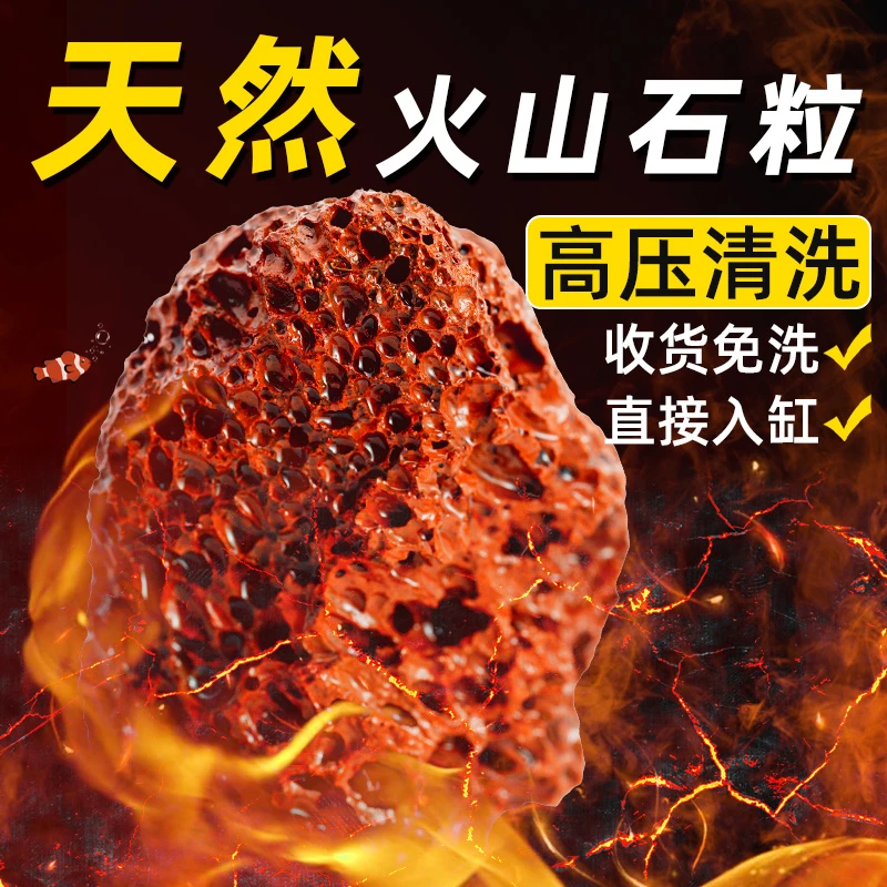 精洗火山石鱼缸专用滤材天然水族过滤材料铺底增色火山岩底砂免洗
