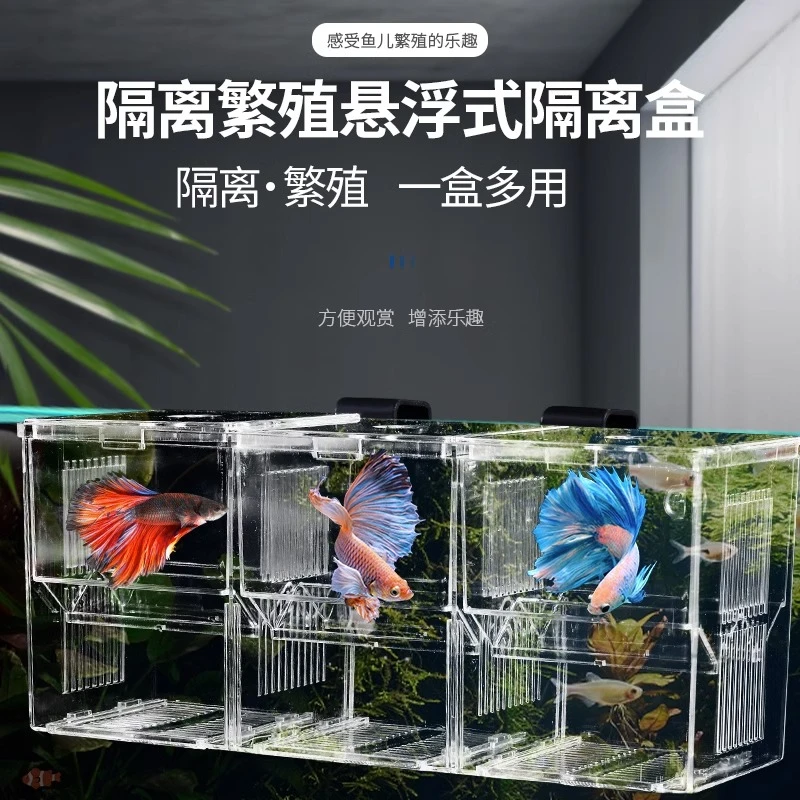 孔雀鱼繁殖盒鱼缸悬浮隔离饲养箱小鱼幼鱼产卵热带鱼多功能孵化器