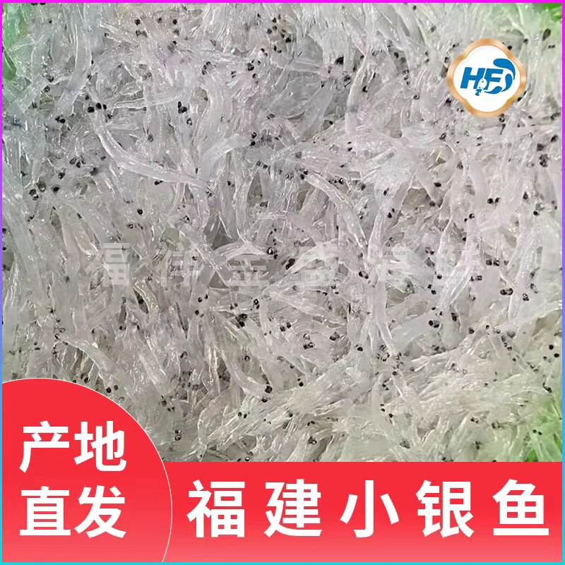福建地区新鲜海鲜小银鱼1斤起寄顺丰
