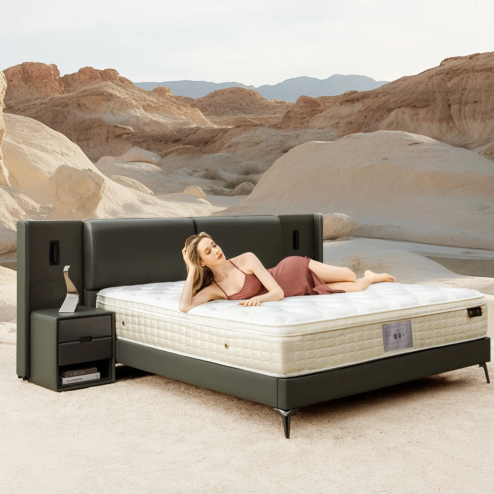 金可儿鎏金+成人床垫（床垫）【政府补贴】