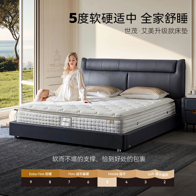 金可儿艾美H床垫+繁星成人床架（套购）【政府补贴】