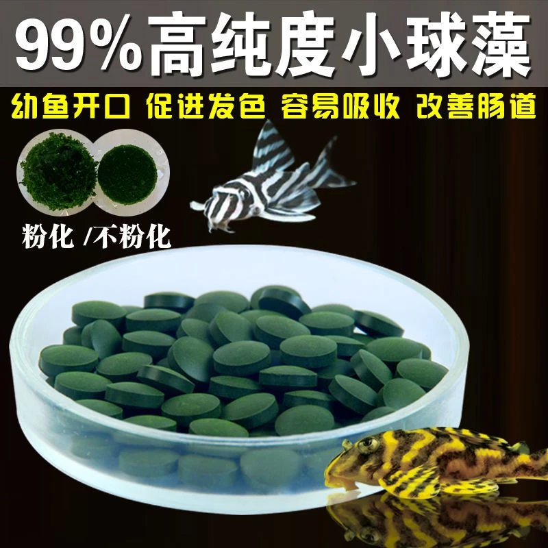 小球藻片鱼食高纯度天然胡子大帆异形鱼观赏鱼素饲料高蛋白促发色