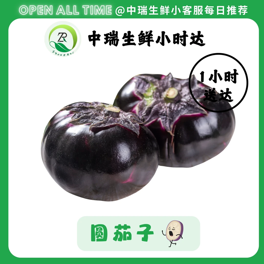 圆茄子（约500g）