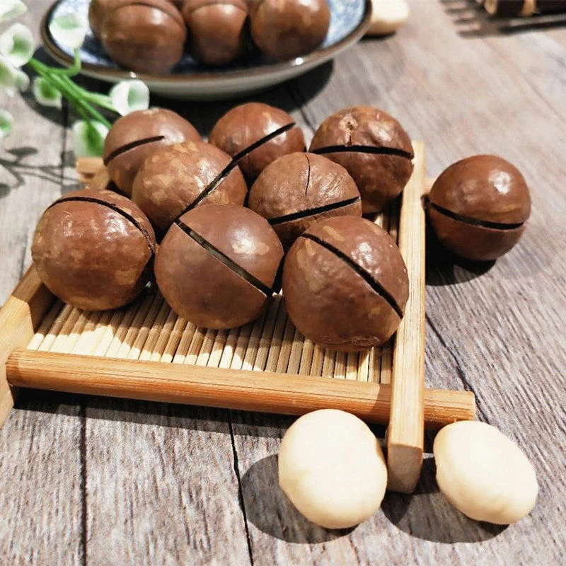 夏威夷果批发厂家直销学生孕妇零食小吃孕期果干熟炒货8g新货品质