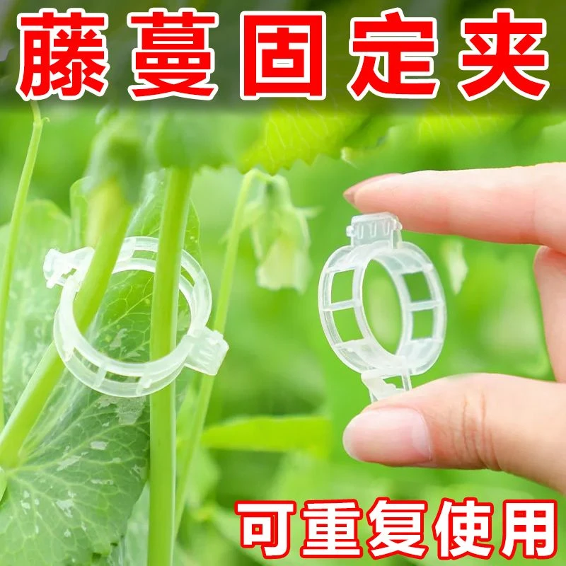 农园大棚果蔬藤蔓固定夹爬藤落秧固定器加厚可反复使用