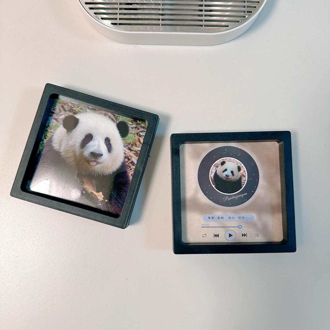 【大熊猫和花唱片冰箱贴】基地花花发声冰箱贴 可爱礼物含花花叫声