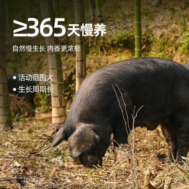 ① （现称现卖）贵州农户家养土黑猪猪肉原生态土猪