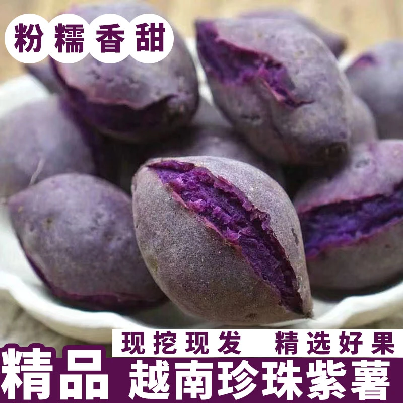 小紫薯正宗产地直发越南原产地沙地番薯新鲜现挖现发农家自种地瓜